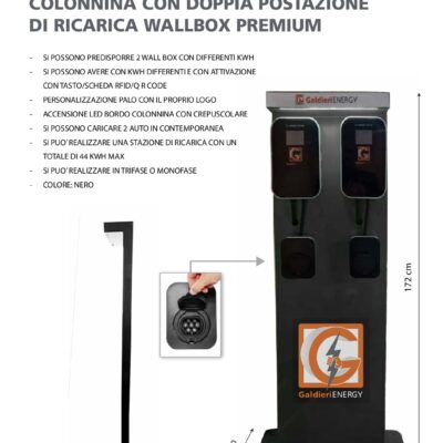 palo di sostegno doppio per Wall box